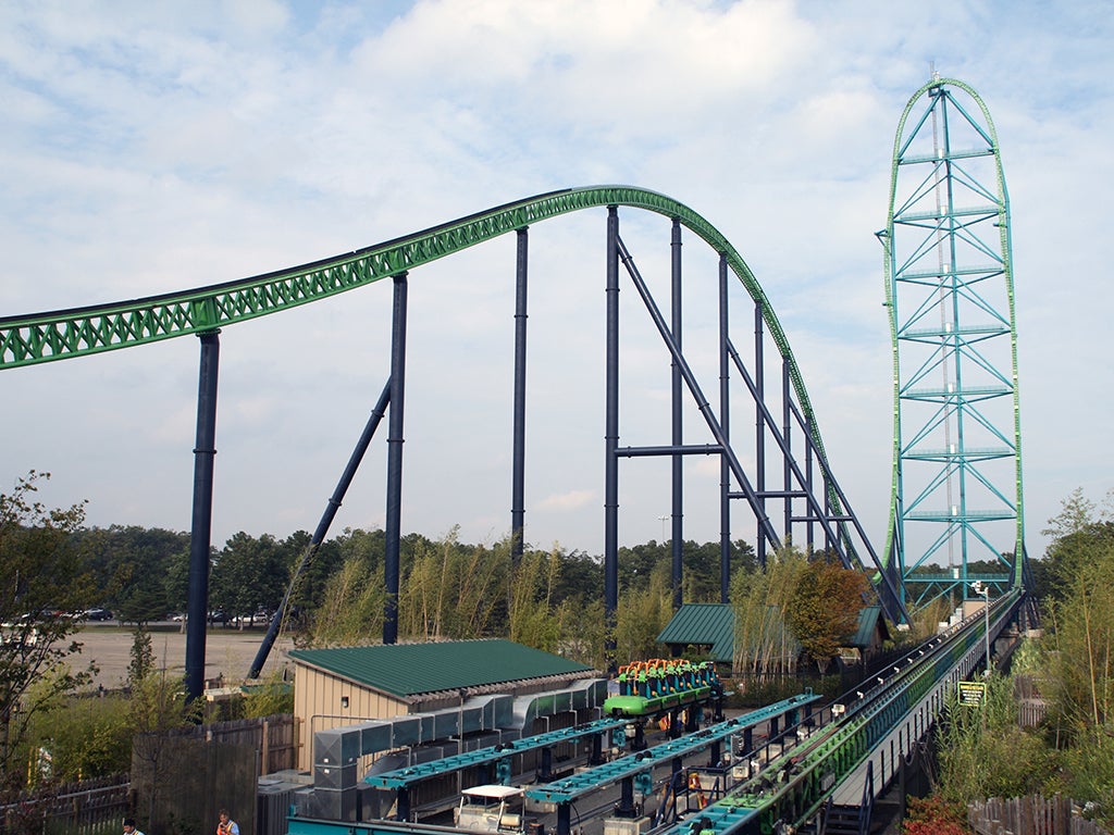 Girl hit in the head by bird while on roller coaster The